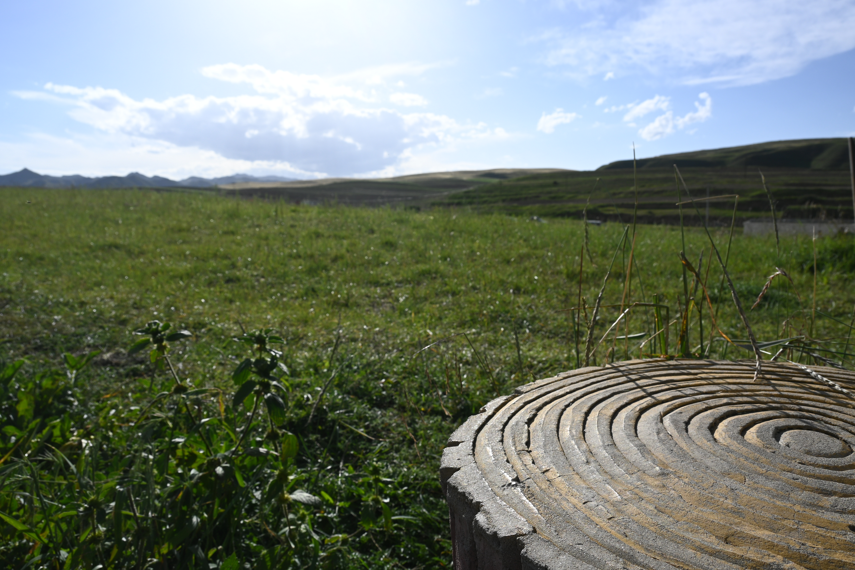 圖片13.png 圖片13.png